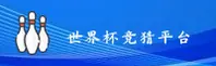 【官网】世界杯竞猜网站 — FIFA赛事官方站·极速投注